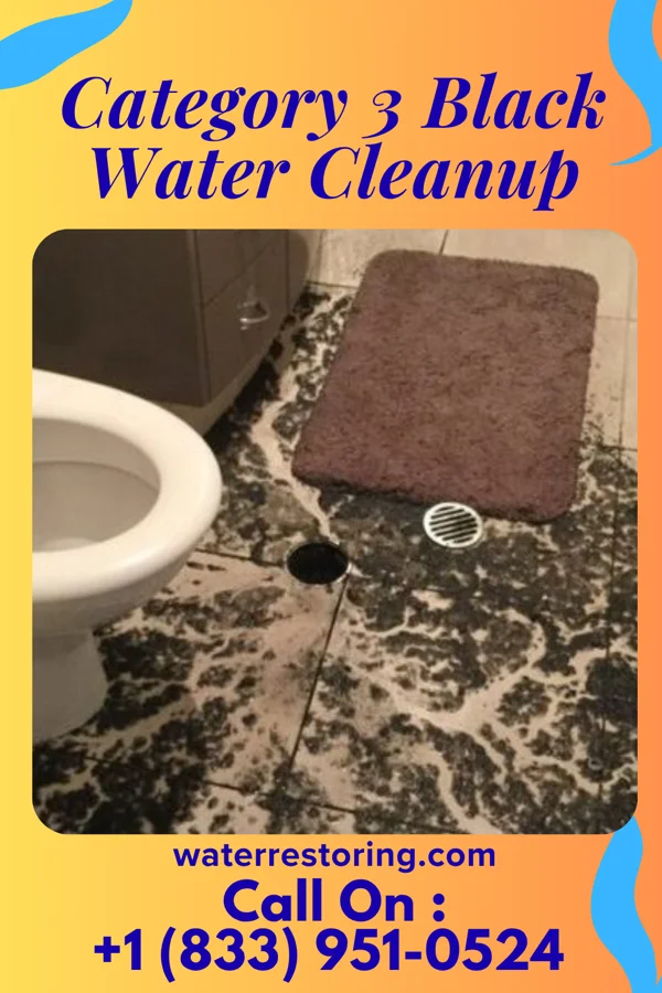 Category 3 Black Water Cleanup in Jeffersonville, NY