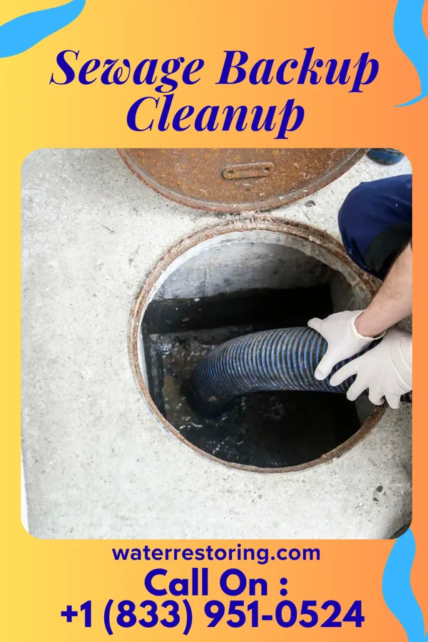 Sewage Backup Cleanup in Jeffersonville, NY