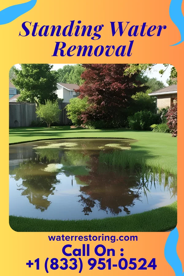 Standing Water Removal in Jeffersonville, NY